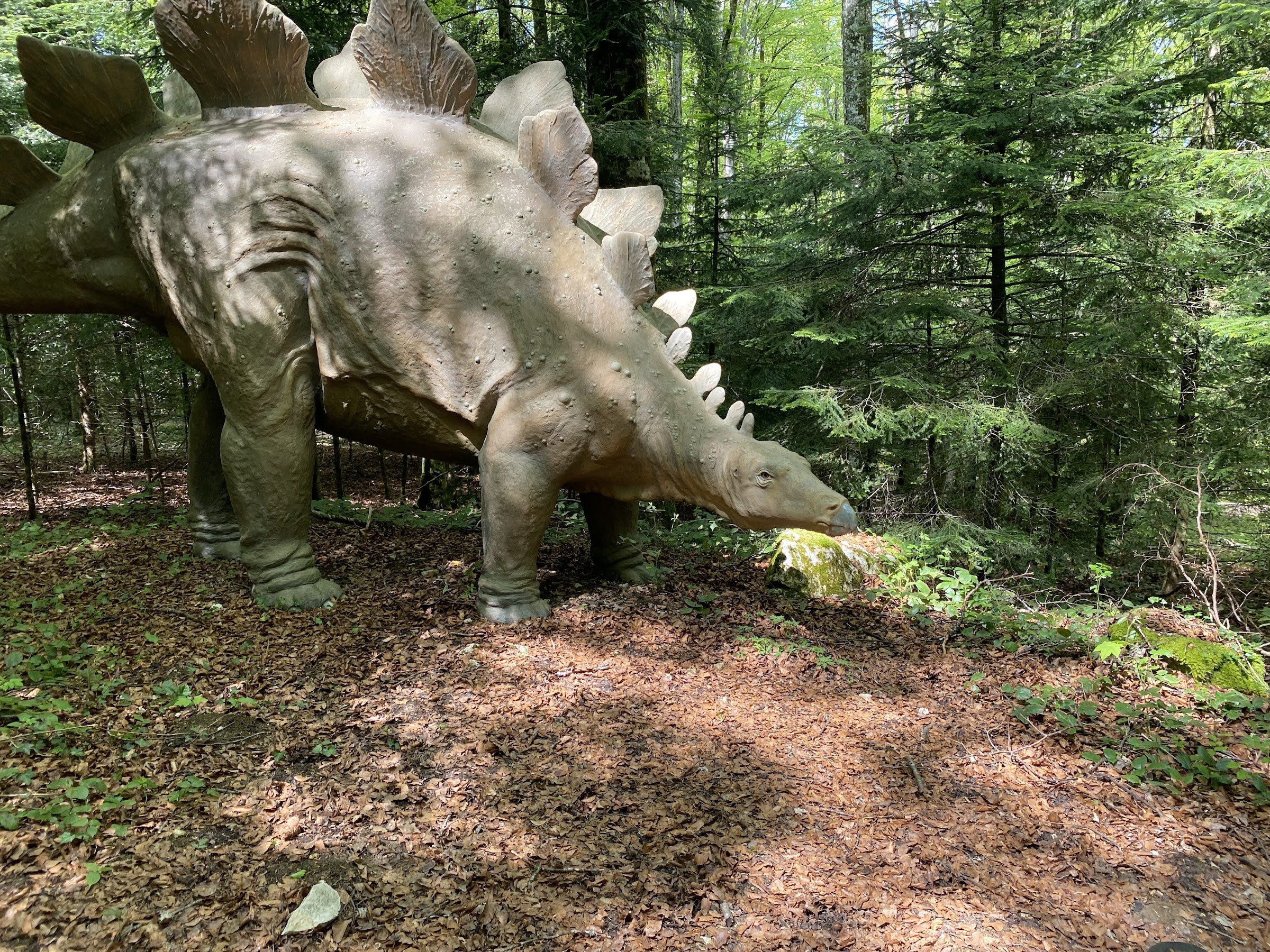 Grottes et Préhisto-Parc